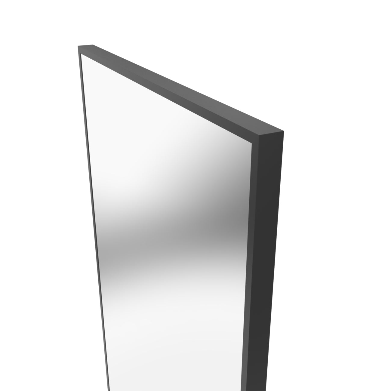 Eria 24 by 36 Inch Rectangle Mirror - Matte Black Frame | Alternative Image 05 | finish:Matte Black