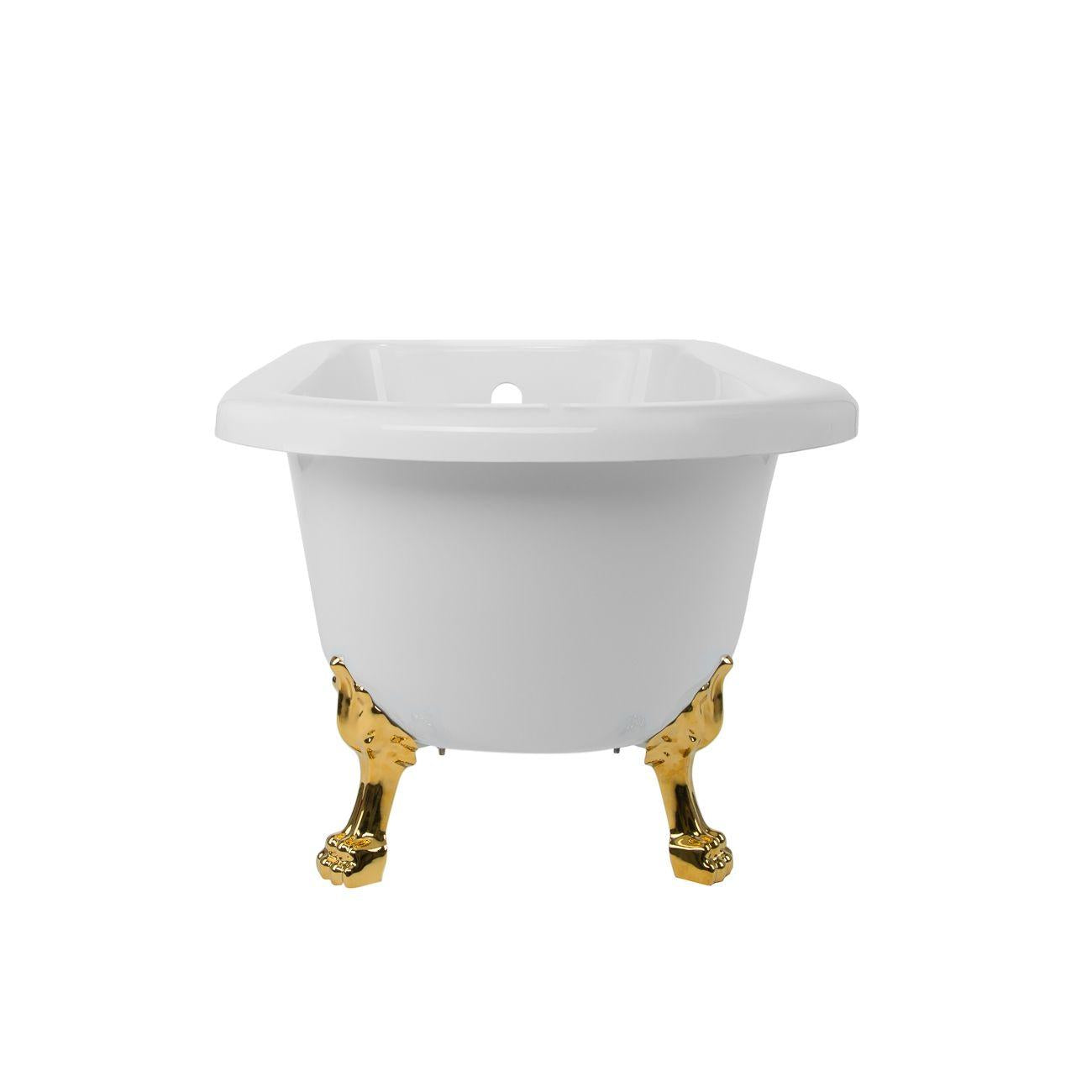 Adair 54 Inch Acrylic Clawfoot Classic Tub - Lion Paw Feet | Alternative Image 02 | length:54 | faucet centers:7" Tub Rim | foot finish:Brass