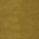 Drain Finish: Supercoated Brass